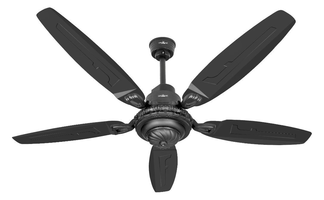 Ceiling Fans
